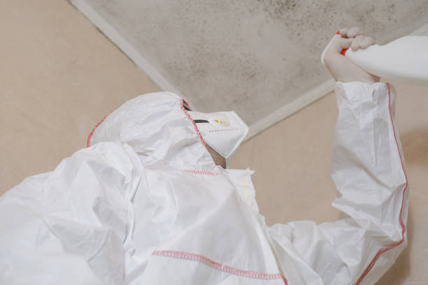 Best Emergency Mold Remediation in Short Hills, NJ