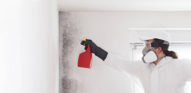 Short Hills, NJ Mold Remediation Company